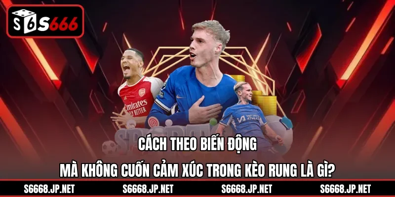 Cách theo biến động mà không cuốn cảm xúc trong kèo rung là gì?