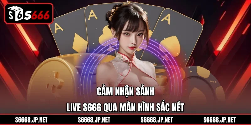 Cảm nhận sảnh live S666 qua màn hình sắc nét